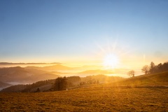 Nebel über der Rheinebene