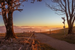 Nebel über der Rheinebene