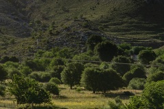 Eingang zur Imbros Schlucht