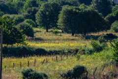 Eingang zur Imbros Schlucht