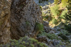 In der Imbros Schlucht