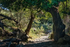In der Imbros Schlucht