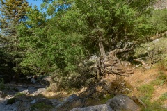 In der Imbros Schlucht