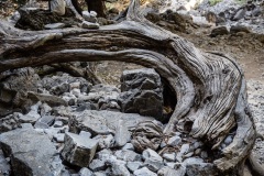 In der Imbros Schlucht