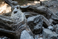 In der Imbros Schlucht