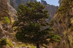 In der Imbros Schlucht