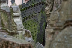 Auf dem Alten Jüdischen Friedhof