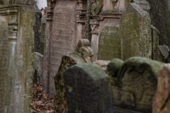 Auf dem Alten Jüdischen Friedhof