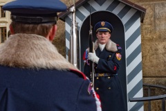 Wachwechsel auf Hradschin