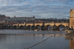 Die Karlsbrücke