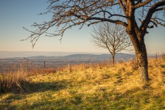 Sonnenuntergang auf dem Ebringer Bohl