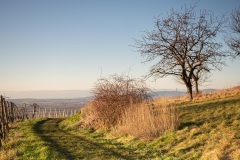 Sonnenuntergang auf dem Ebringer Bohl