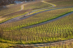 Sonnenuntergang auf dem Ebringer Bohl