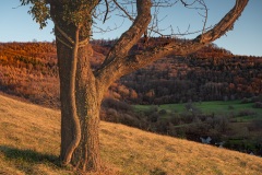 Sonnenuntergang auf dem Ebringer Bohl