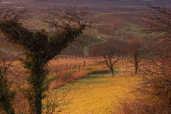 Sonnenuntergang auf dem Ebringer Bohl