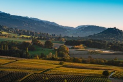 Sonnenuntergang Staufener Schloßberg