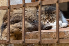 In den Gassen von Montepulciano