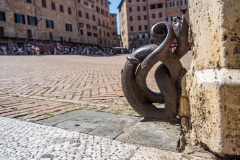 Eiserne Schlange auf dem Piazzo del Campo