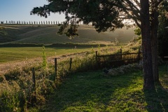 Sonnenuntergang im Garten der Villa Di Graziella
