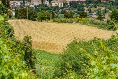 Die Türme von San Gimignano