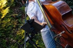 Bullitunes Konzert im Kulturverein Schallstadt