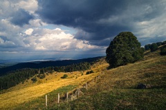 Kurz vor dem Petit Ballon