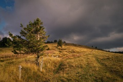 Kurz vor dem Petit Ballon