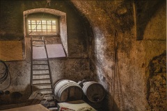 Schloss Buchholz Weinfässer im Keller