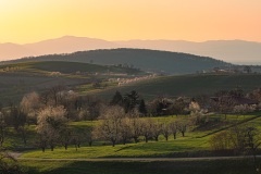 Sonnenuntergang in den Hügeln um Obereggenen