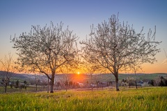 Sonnenuntergang in den Hügeln um Obereggenen