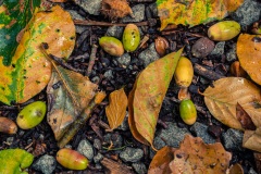 Spaziergang Oberbergen Texas Pass