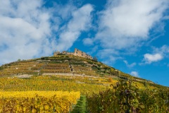 Staufener Burg im Herbstsonnenschein