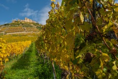 Staufener Burg im Herbstsonnenschein