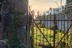 Weihnachtsmarkt Burkheim