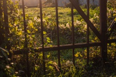 Weihnachtsmarkt Burkheim