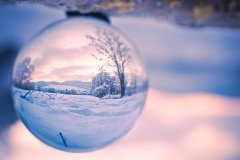 Wintermorgen in Schallstadt