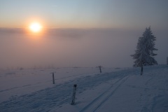 Sonnenaufgang hinter dem Nebel auf dem Belchen