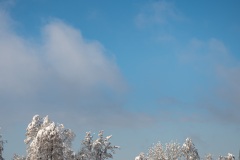 Wintertag im Schnee