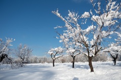 Wintertag im Schnee