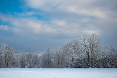 Wintertag im Schnee