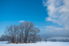 Wintertag im Schnee