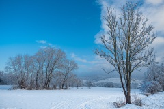 Wintertag im Schnee